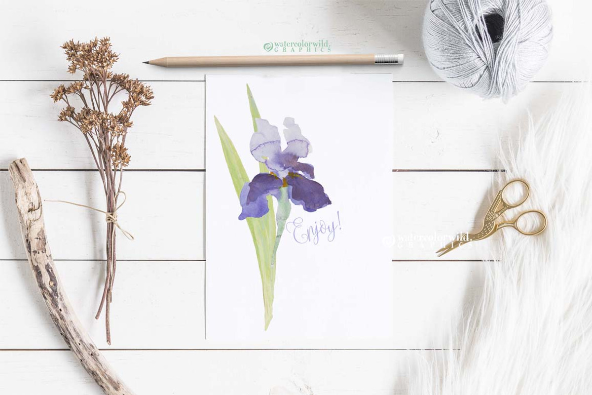 BLUE IRIS - watercolor clipart set, an Illustration by watercolorwild.graphics (Photo 7 of 7)