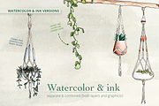 Watercolor Hanging Plant Sky Garden, an Illustration by plaidGecko (Thumbnail 5 of 8)