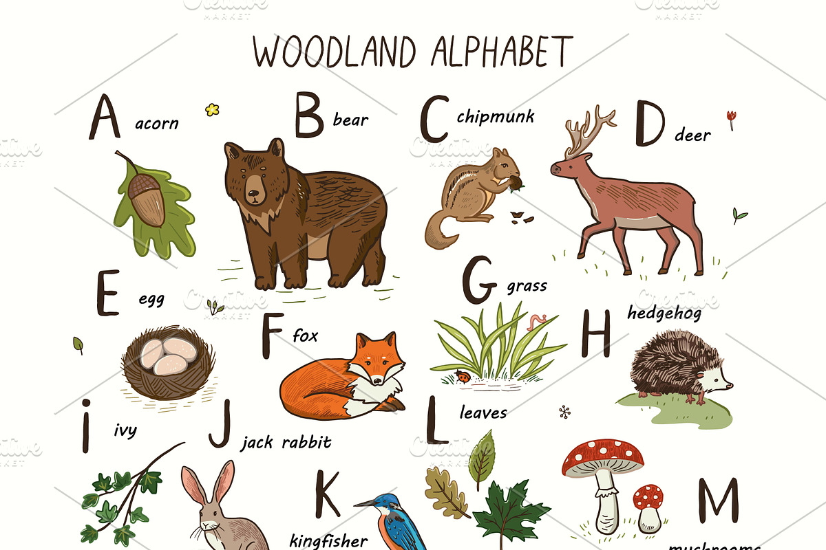 Woodland Alphabet, an Animal Illustration by GooseFrol (Photo 3 of 10)