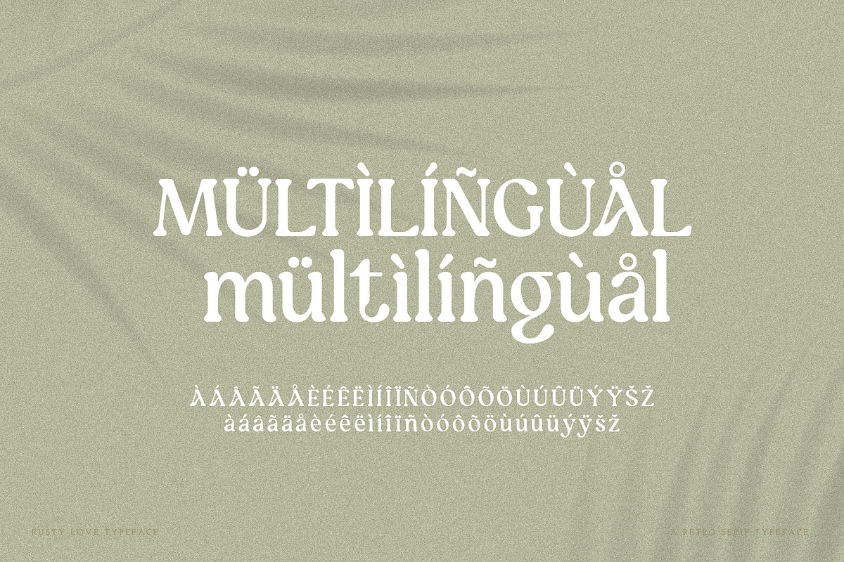 Rusty Love - Retro Vintage Charm, a Serif Font by Annivers Type (Photo 10 of 10)