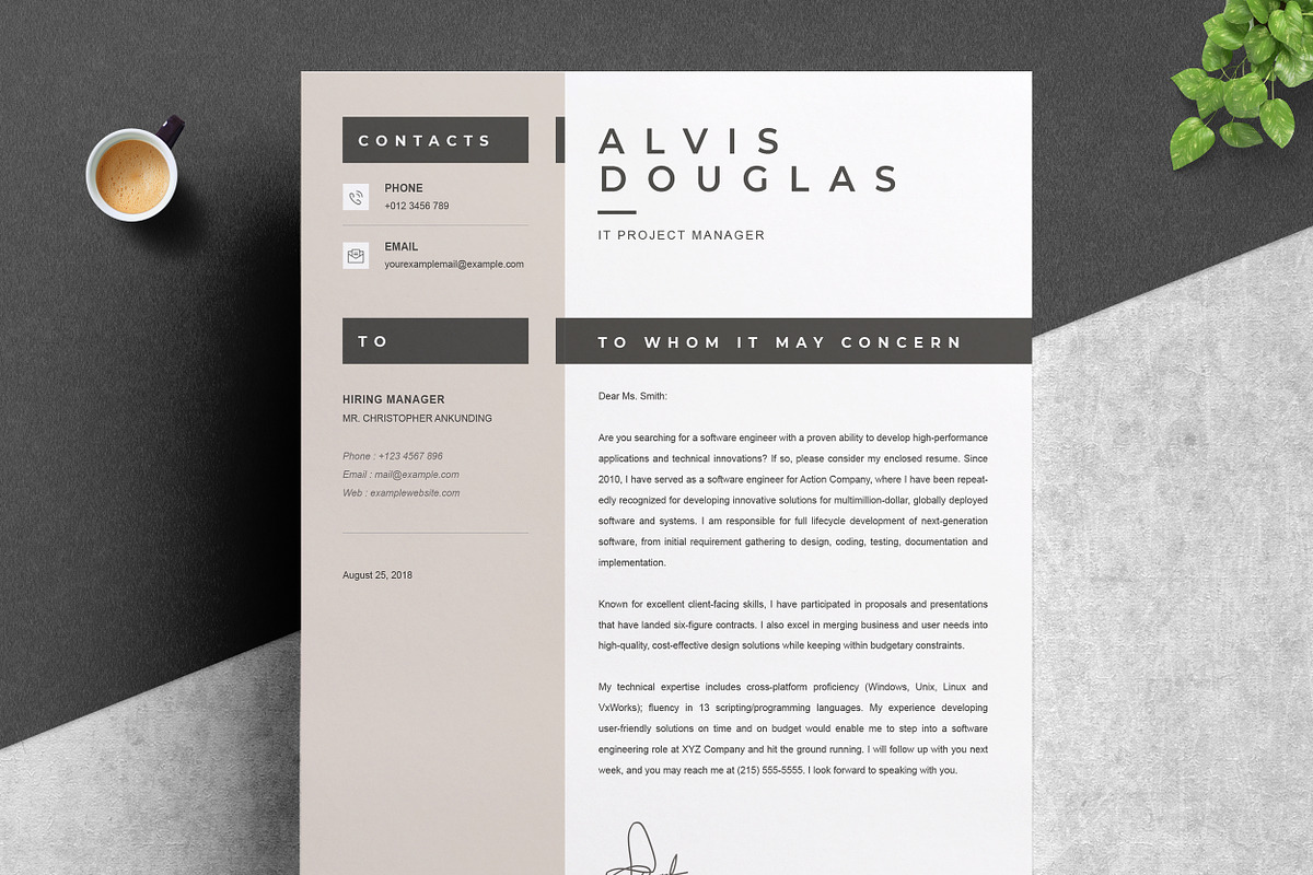JOB WINNING RESUME - 50 TEMPLATES, a Resume Template by ResumeInventor (Photo 103 of 184)