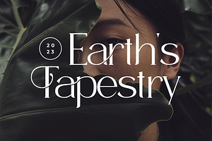 Timeless Serif Typeface Font