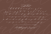 Starfield Brightens, a Script Font by operatype.co (Thumbnail 14 of 15)