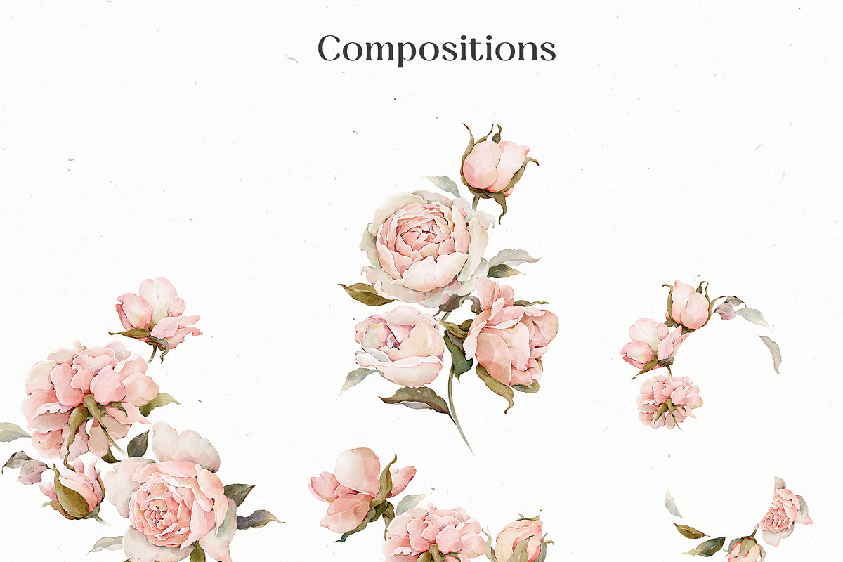 Watercolor Rose Floral Elements, a Decorative Illustration by Damian Roh (Photo 9 of 13)
