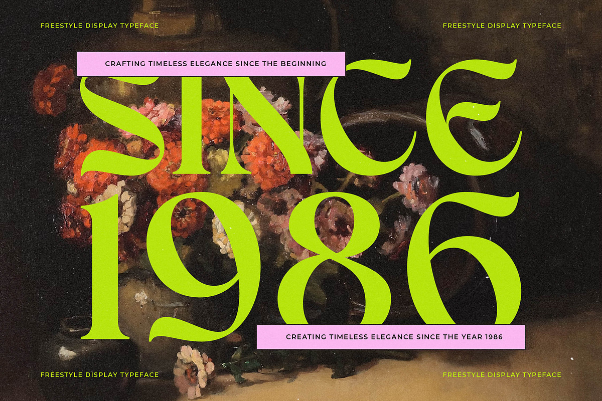 Enligas Modern Serif Display Font, a Serif Font by timelesstype.co (Photo 13 of 15)