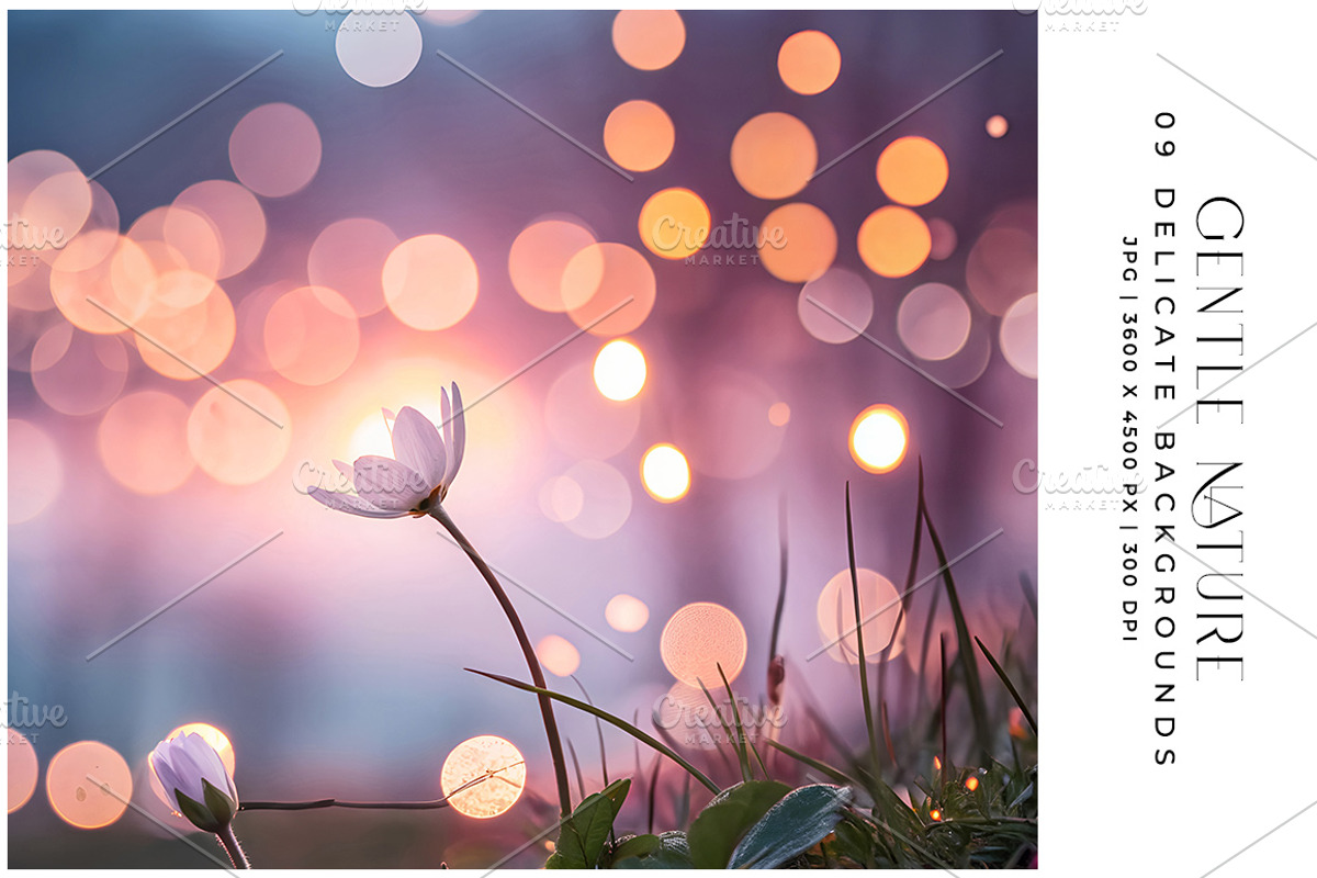 Gentle Nature, a Background Photo by Digital Art Creations (Photo 1 of 6)