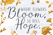 Watercolor Galore - 250+ Elements, a Decorative Illustration by Rawberry Strubarb Ink. (Thumbnail 8 of 8)