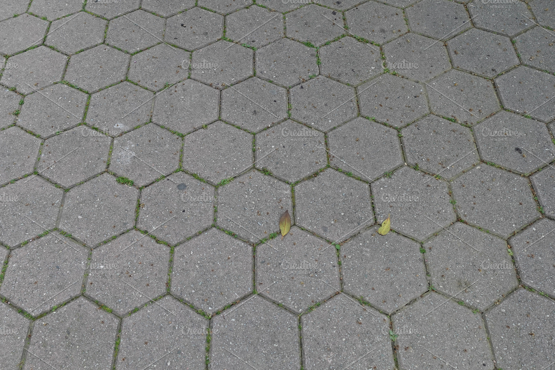 hexagonal outdoor paving shapes, an Architecture Photo by sirylok