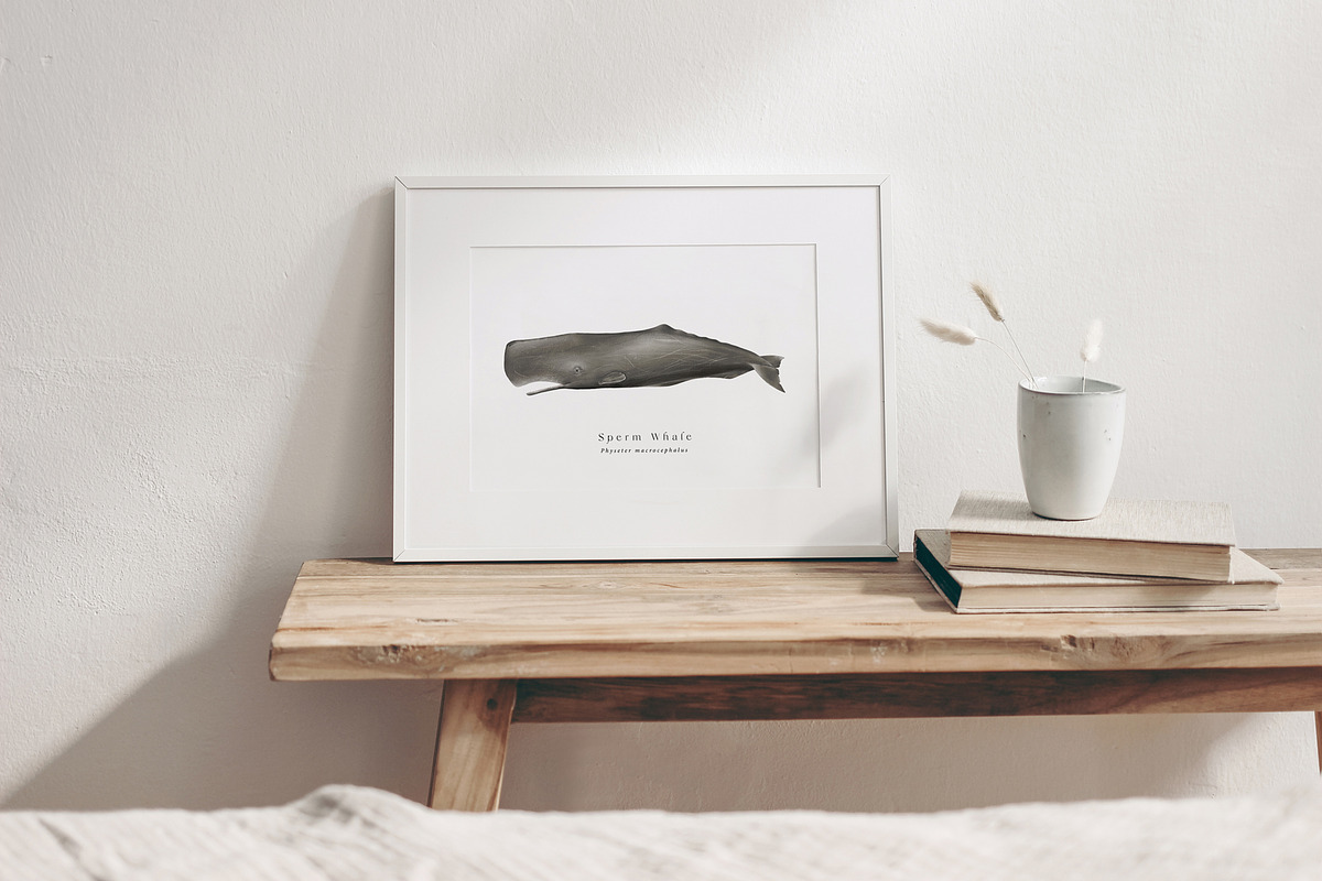 Watercolor Whales. Ocean animals set, an Animal Illustration by Diana Askarova Art (Photo 3 of 7)