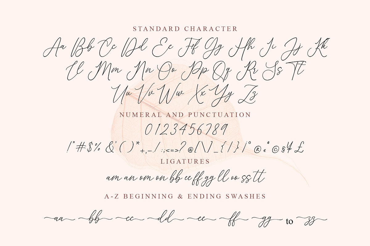 First Love-A Modern Script Font, a Script Font by MJB Letters