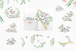 Koala. Watercolor Collection