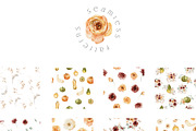 SEPTEMBER Watercolor Fall Set, an Object Graphic by Kaleriia (Thumbnail 5 of 13)