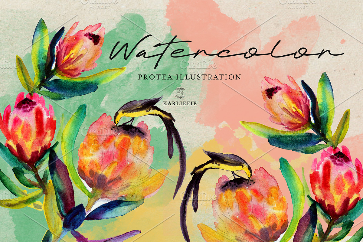 Watercolor Flowers and bird, a Decorative Illustration by Karliefie (Photo 1 of 2)