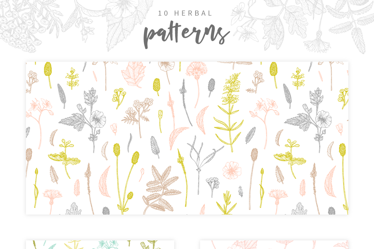 Herbalitica Vol.2 Flower Set, a Healthcare Illustration by eclosque (Photo 4 of 12)