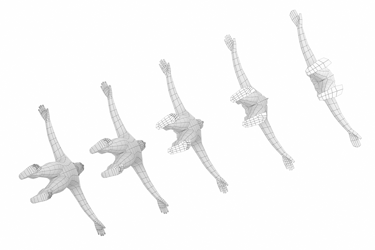 Natural Male T-Pose in 5 Topologies, a 3D by VK Studio (Photo 11 of 21)