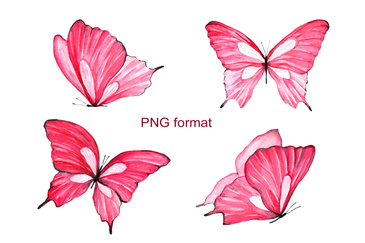 Watercolor pink butterflies, an Animal Illustration by Art Watercolor (Photo 2 of 2)