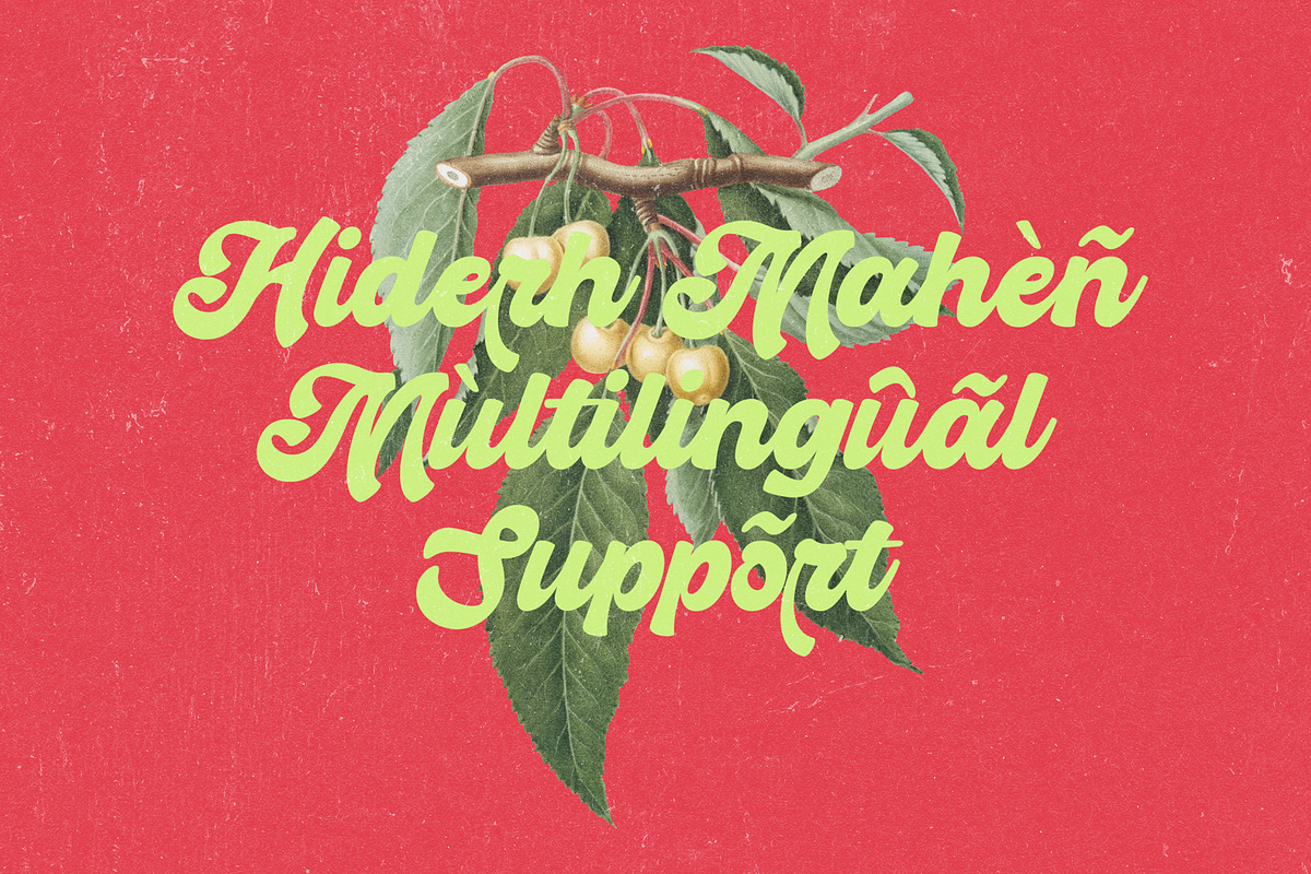 Hiderh Mahen — Bold Groovy Script, a Script Font by Enxyclo Studio (Photo 27 of 27)