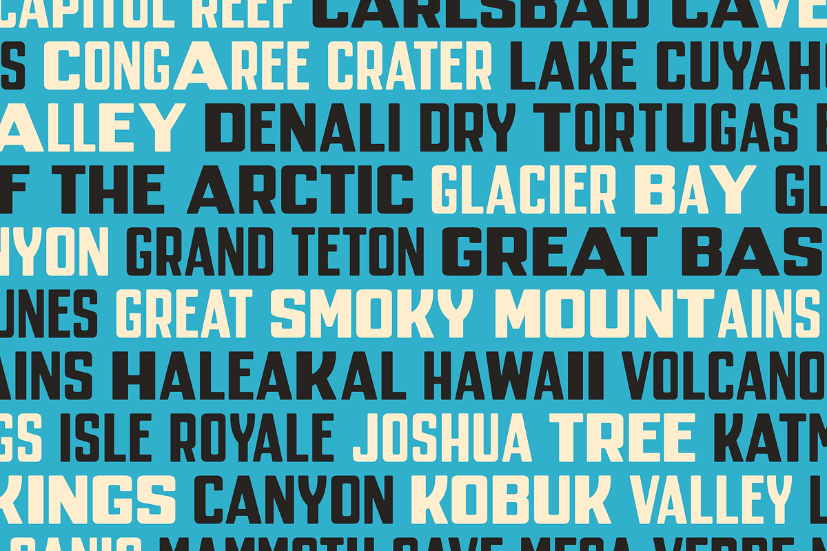 Parkly — Vintage display sans, a Sans Serif Font by SimpleBits® (Photo 2 of 5)