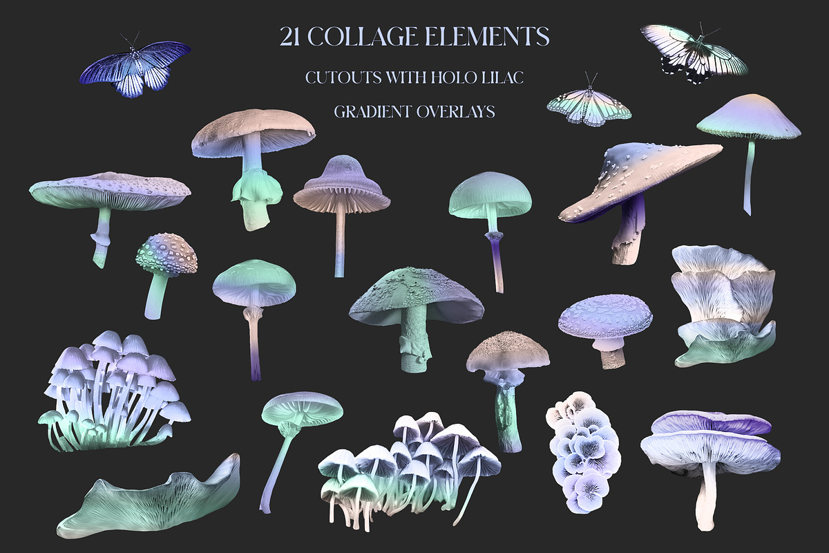 Holo Lilac Mushroomland Collage, an Object Graphic by Catch the Dream Art (Photo 12 of 16)