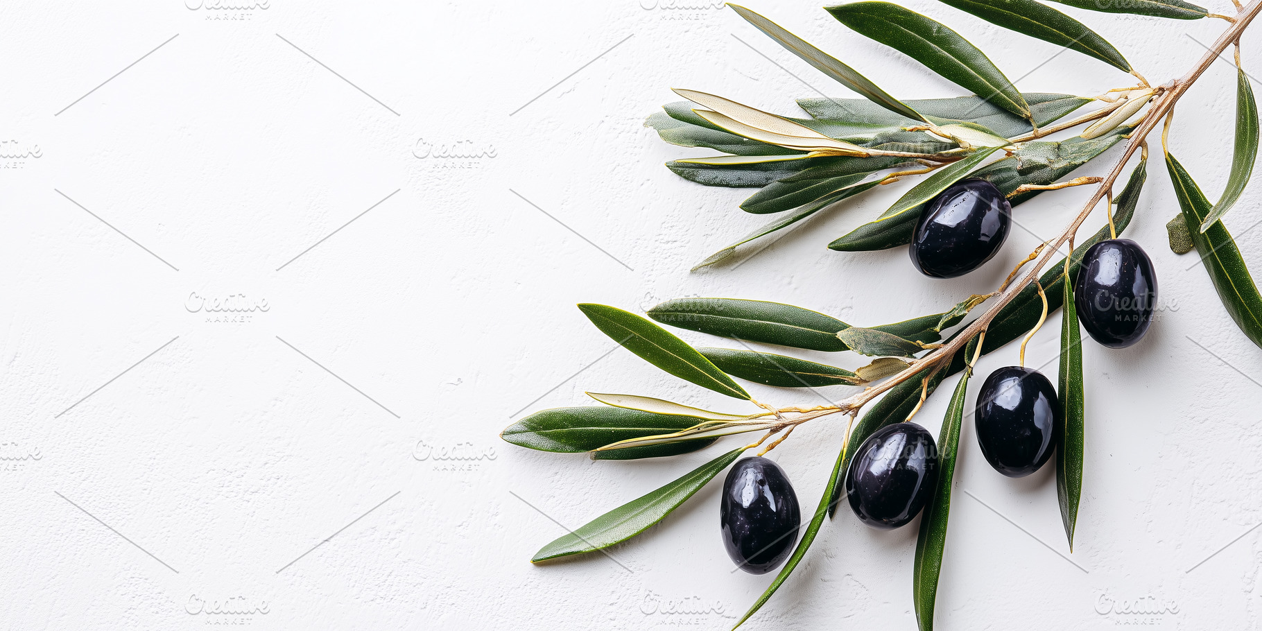 Branch with dark olives and leaves, a Food & Drink Photo by MistyDay