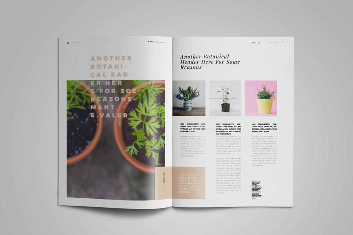Naturia | Magazine Template, a Magazine Template by spidergraph (Photo 6 of 11)