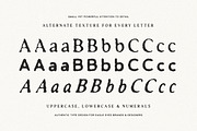 Antiquated Font Pack (Serif & Sans!), a Serif Font by Tom Chalky (Thumbnail 2 of 11)