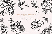 Apothecary Display Font, a Font by Create The Cut (Thumbnail 10 of 13)