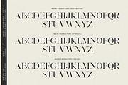 South Epic Dream Font Duo + Logos, a Serif Font by SNIPESCIENTIST (Thumbnail 27 of 32)