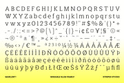 Marlent Variable, a Slab Serif Font by Stripes Studio (Thumbnail 15 of 15)