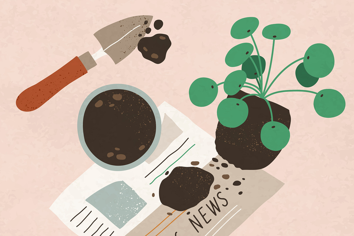 Process of house plant transplanting, an Object Illustration by Good Studio (Photo 2 of 3)