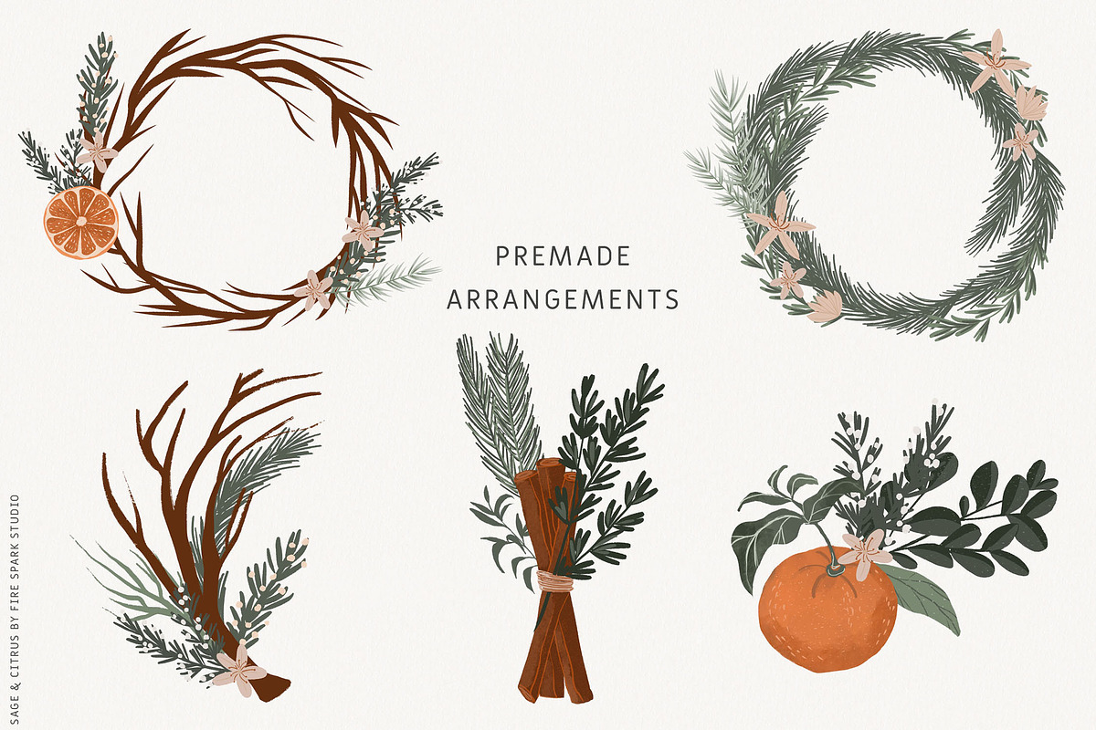 Sage Green Citrus Illustrations, an Object Illustration by Fire Spark Studio (Photo 8 of 9)