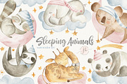 Sleeping Animals, an Animal Illustration by Flora+Bear (Thumbnail 1 of 8)
