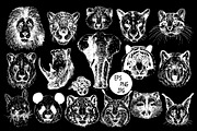 Animal Faces, an Animal Illustration by Ecaterina Sciuchina (Thumbnail 3 of 7)