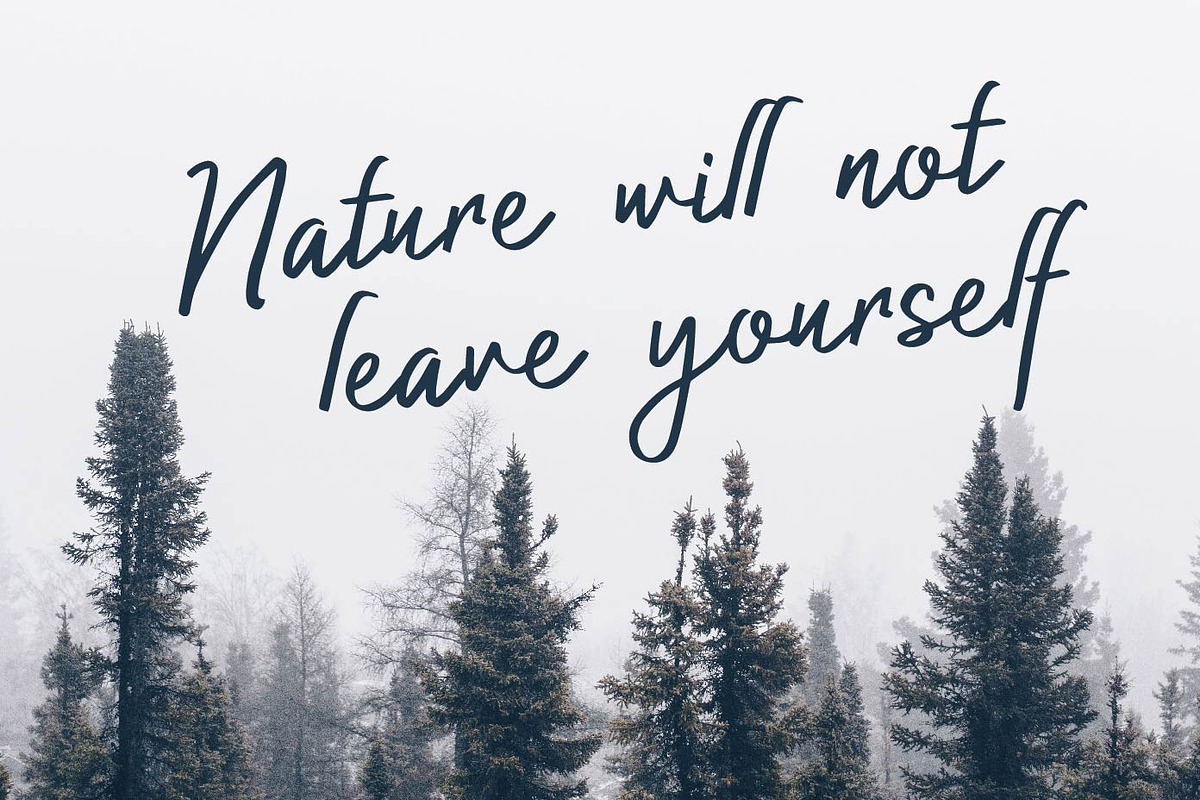 Authorized Signature Script Fonts, a Script Font by Patria Ari (P4tcreativa) (Photo 6 of 10)