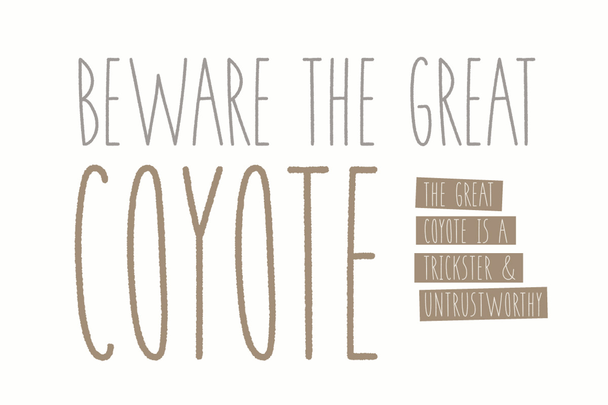 Coyote | A Playful Font, a Sans Serif Font by Josh O. (Photo 7 of 9)