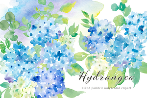 Hydrangea Watercolor Clipart Set