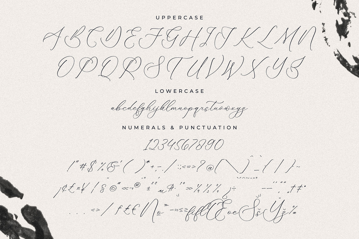 Authentiue Chic Calligraphy Font, a Script Font by Storytype Studio (Photo 13 of 15)