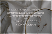 Corina Elegant | Modern Slab Serif, a Slab Serif Font by gracetype_studio (Thumbnail 12 of 12)