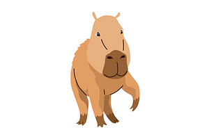 Capybara. Cartoon cute animal, wild, an Animal Illustration by the8monkey