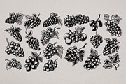 Hand Drawn Wine Vector Set, a Food Illustration by Alternate Studio (Thumbnail 4 of 10)