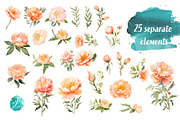 Watercolor Peach Peonies, an Object Illustration by Verdigris Studios (Thumbnail 3 of 4)
