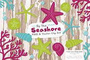 Seashells Clipart in Bohemian, an Illustration by Amanda Ilkov (Thumbnail 2 of 5)