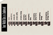 Delwyn Family, a Serif Font by jorse (Thumbnail 5 of 7)