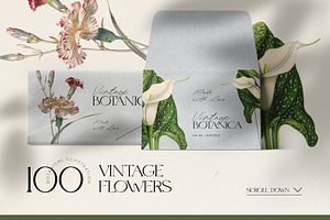 Vintage Botanica Collage Creator