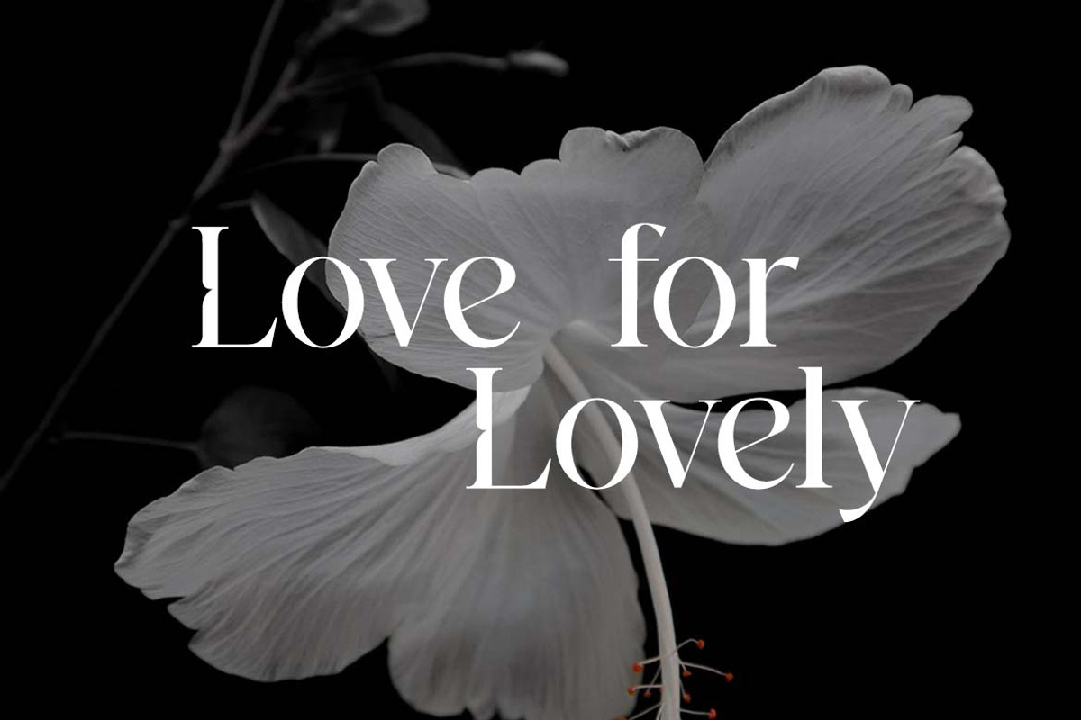 Westbury Claridge Luxury Serif Font, a Serif Font by UICreative (Photo 11 of 13)