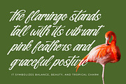 Nostalgic Pictures Calligraphy Font, a Script Font by Letterena Studios Script (Thumbnail 8 of 15)
