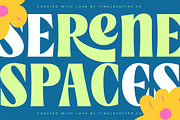 Makers Weave Modern Bold Serif, a Serif Font by timelesstype.co (Thumbnail 15 of 20)