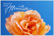 Bessita Handwriting - Script, a Script Font by Inspiratype (Thumbnail 8 of 11)