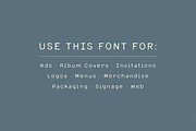 Quilt & Barley, a Sans Serif Font by Bruised Goods (Thumbnail 11 of 13)