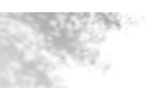 Gobo light effect with leaf shadows, an Illustration by art PVP - market